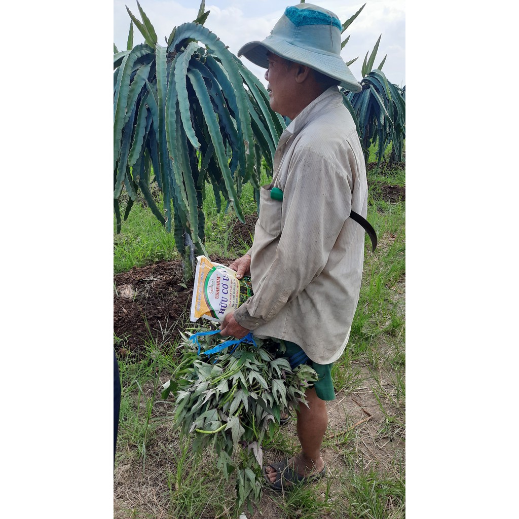 PHÂN BÓN HUMIC HỮU CƠ USA CAO CẤP DẠNG VẢY MỎNG - GÓI 1KG PHA 1000 LÍT TIẾT KIỆM