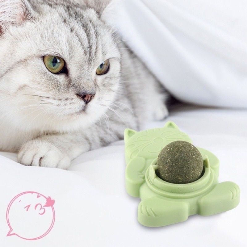 Cỏ mèo catnip dán tường nhiều hình