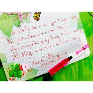  Bút Leta 361 ngòi kim tinh lá tre tự tạo thanh đậm - MẪU VỎ MỚI 