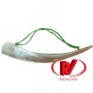Tù và sừng bò tvsb-0742