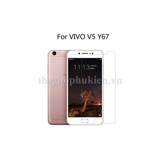 Dán kính cường lực cho Vivo V5 trong suốt