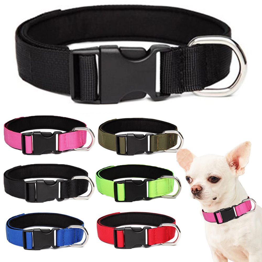 1 Vòng Đeo Cổ Màu Trơn Có Thể Điều Chỉnh Cho Thú Cưng Cỡ Vừa / Lớn / Lớn / Lớn / Nhiều Màu Sắc Tùy Chọn
