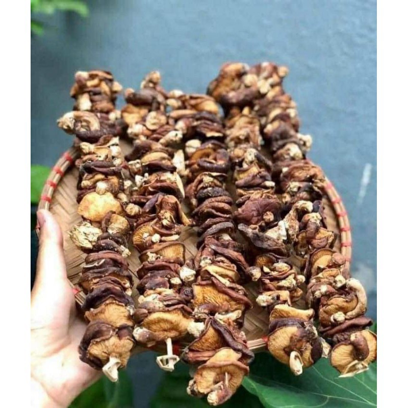 500gr NẤM HƯƠNG RỪNG TÂY BẮC - nấm to và rất thơm