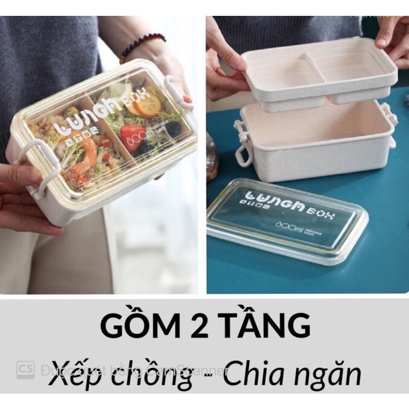 Hộp Cơm Lúa Mạnh 2 Ngăn, 2 Tầng, Hộp Cơm Văn Phòng Lúa Mạch Cao Cấp