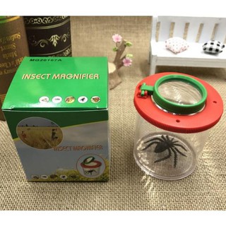 Hộp đựng quan sát côn trùng