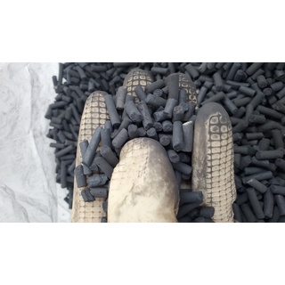 Than hoạt tính lọc nước hồ cá [100gr]