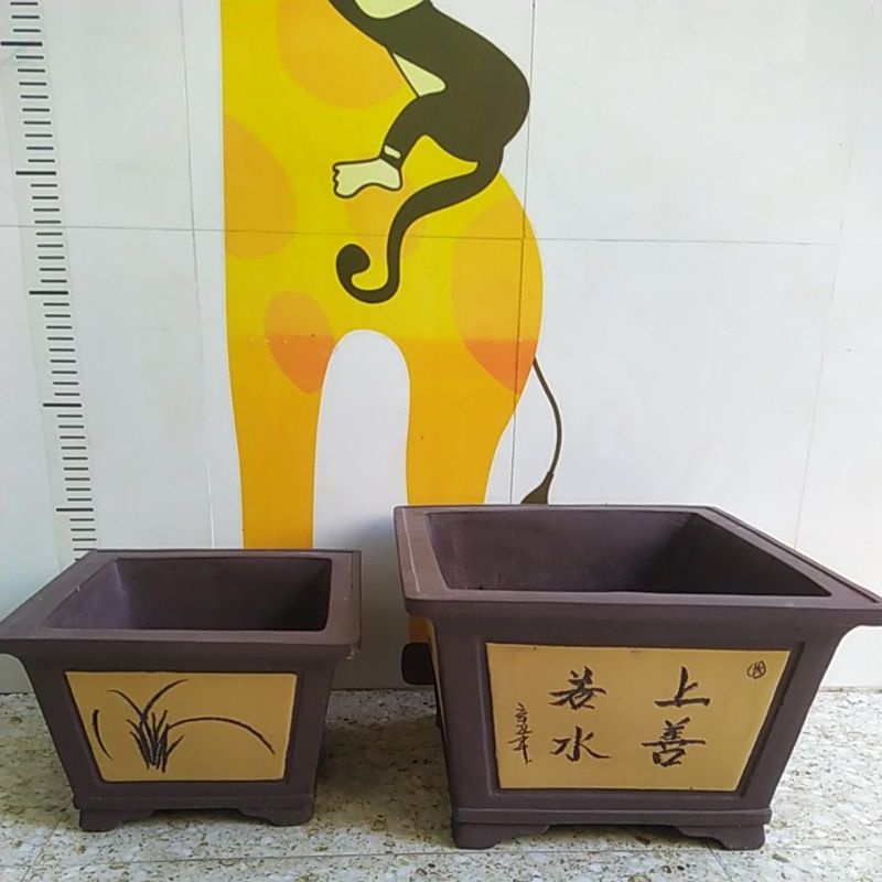 Chậu vuông cao Trung Quốc - Chậu trồng cây bonsai