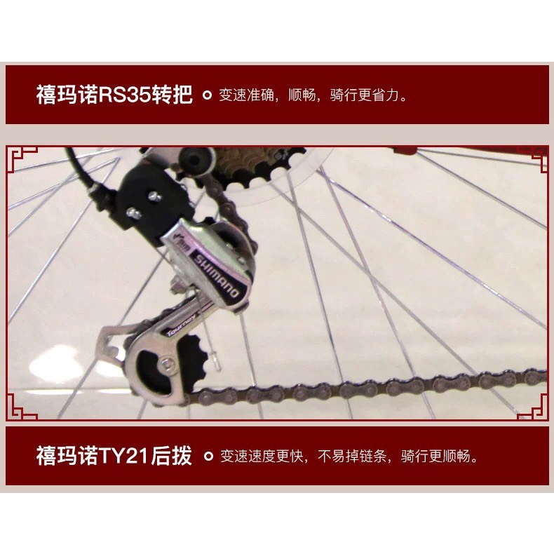 Xe đạp thể thao 26icnh