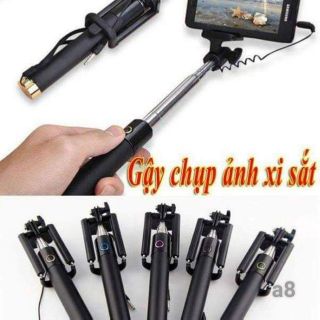 Gậy tự sướng