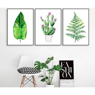 Bộ 3 tranh dán tường HD Xương rồng nở hoa HTP-0130 KT 30 x 45 cm