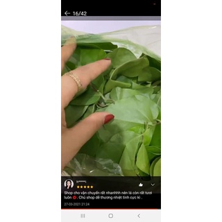 1kg lá sương sâm trơn