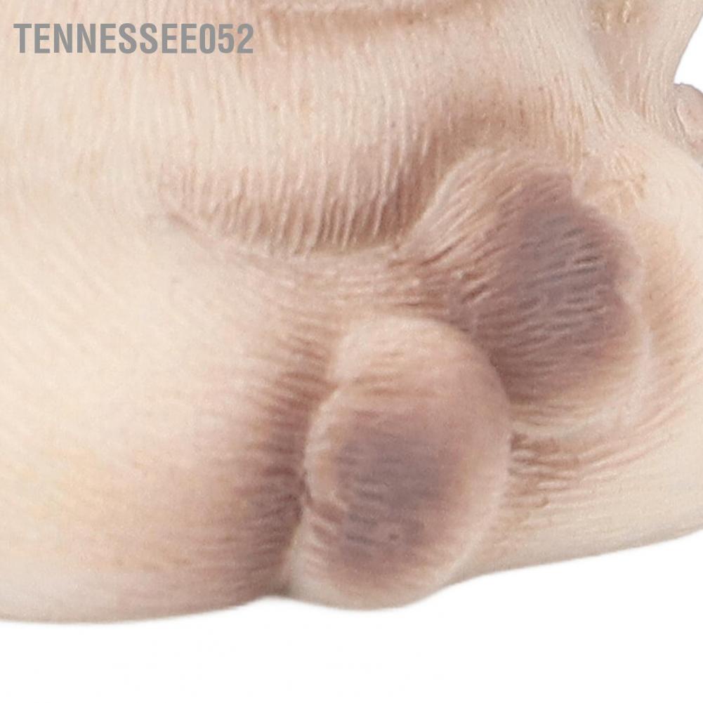 Mô hình chú mèo dễ thương để bàn trang trí bằng nhựa resin