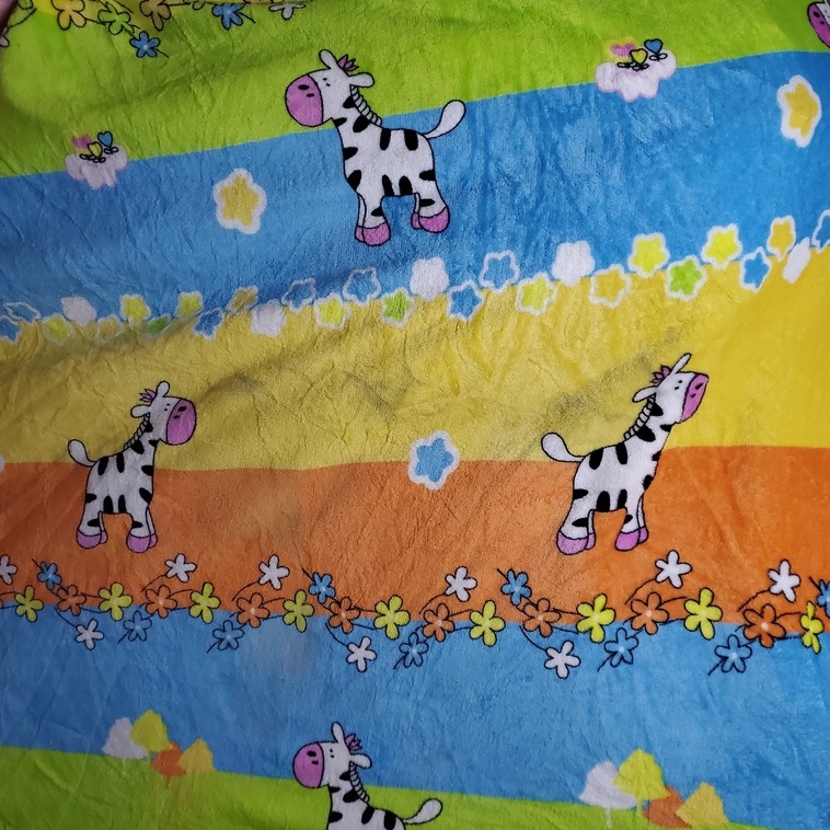 Mền Nhung Cao Cấp khổ 1m6 x 2m 🎁 Tặng 1 vỏ gối 40x60🎁