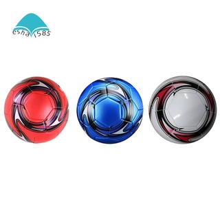 Quả bóng đá chuyên nghiệp size 5