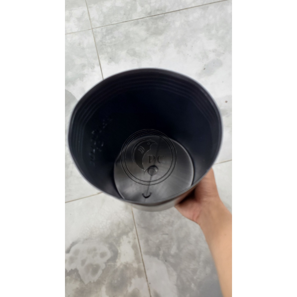 Chậu nhựa nuôi cá trồng sen