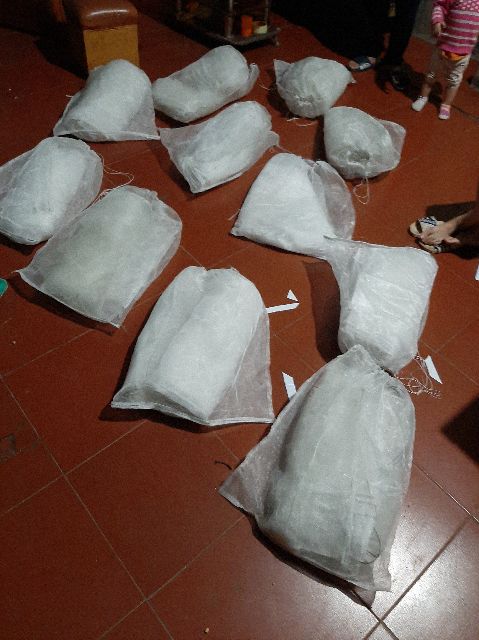 COMBO 50 - TÚI ĐỰNG SÂU CANXI - RUỒI LÍNH ĐEN , TÚI ĐỰNG DẾ