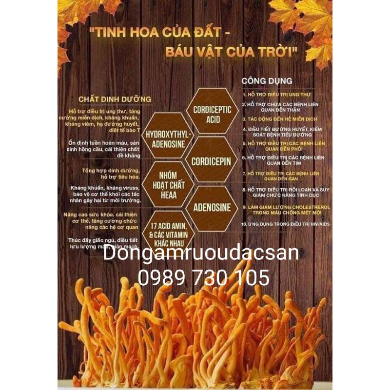 ĐÔNG TRÙNG HẠ THẢO HÀNG VIP LỌ 50G
