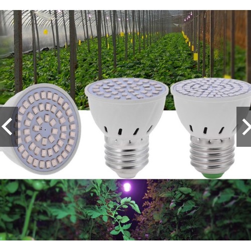 SET 3 chiếc Đèn LED quang phổ toàn phần trồng cây (12W)