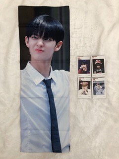 Slogan Jinyoung có sẵn