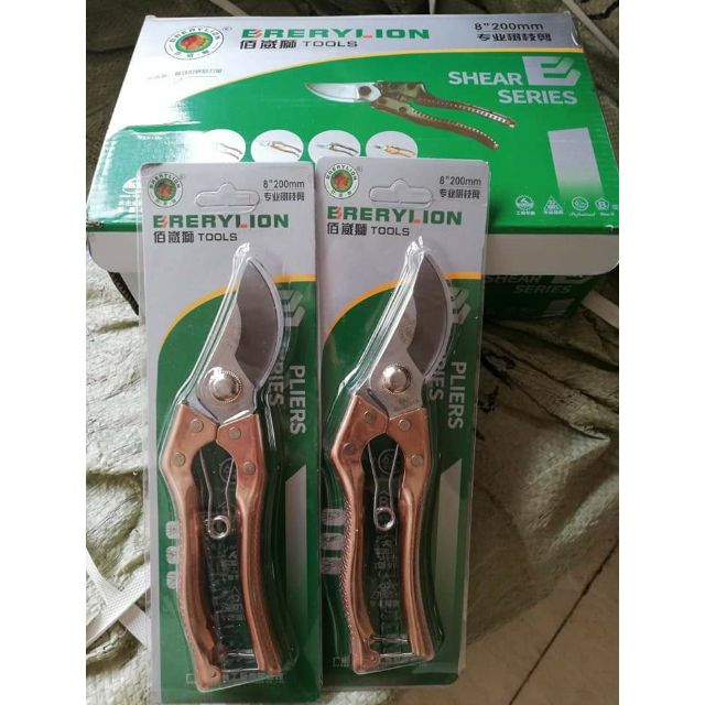 Khéo cắt cành berylion