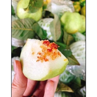 Ổi Đài Loan