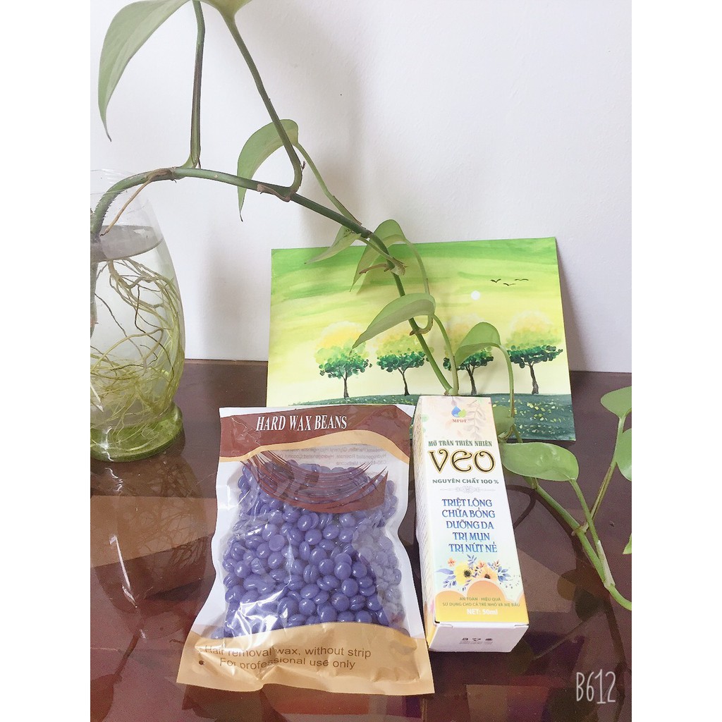 [Mã COS2704 giảm 8% đơn 250K] Combo Triệt Lông Vĩnh Viễn Sáp Wax Loại 1 Tại Nhà | BigBuy360 - bigbuy360.vn