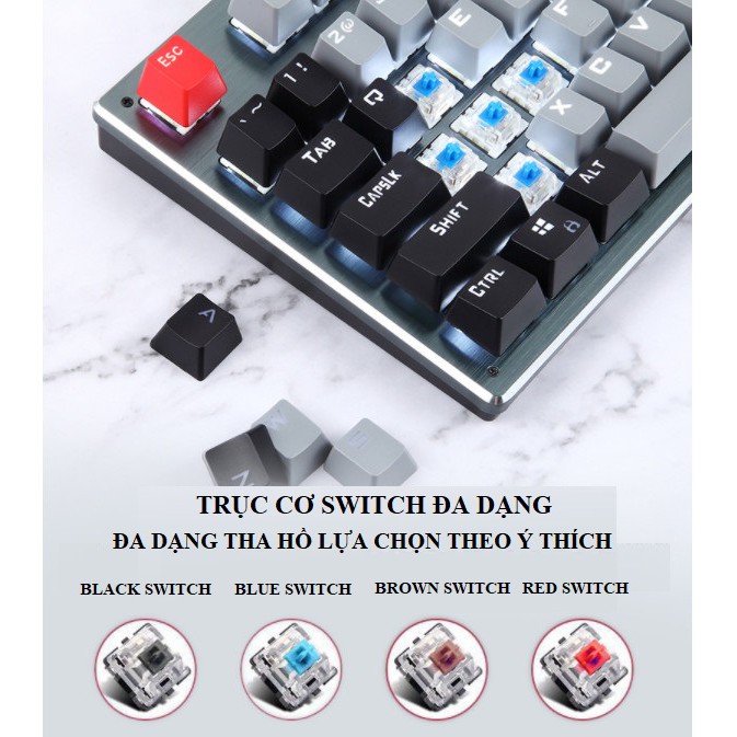 Bàn phím CƠ, Bàn phím máy tính Bluetooth Không Dây K950 LED Siêu đẹp, switch đa dạng [CO BẢO HÀNH]