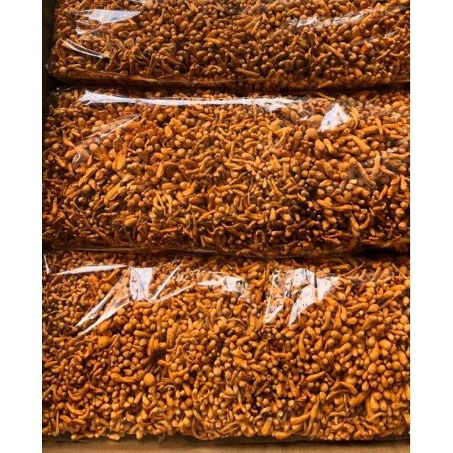 1KG NẤM ĐÔNG TRÙNG HẠ THẢO SẤY KHÔ | BigBuy360 - bigbuy360.vn