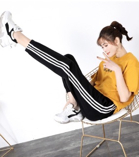 Quần kaki 3 sọc