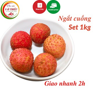 Vải thiều Lục Ngạn ngắt cuống Set 1KG dùng cho trà vải hạt sen, quả to, tròn đều, đặc sản mùa hè, hoa quả tráng miệng
