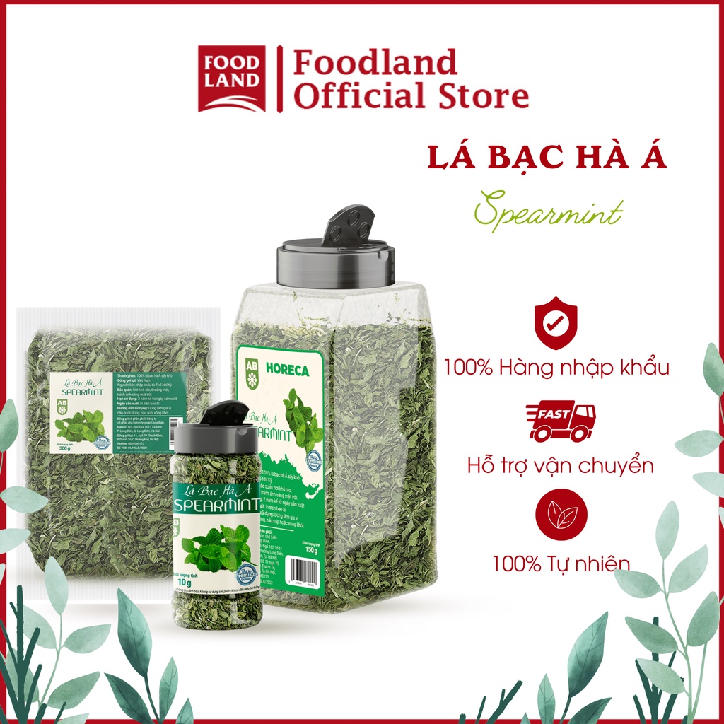 Lá Bạc Hà Á - (Spearmint) AB - lá thơm gia vị -dùng để pha trà, hoặc trang trí một số món ăn. - Foodland