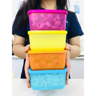 BỘ HỘP MINI RECTANGULAR 250ML (4)