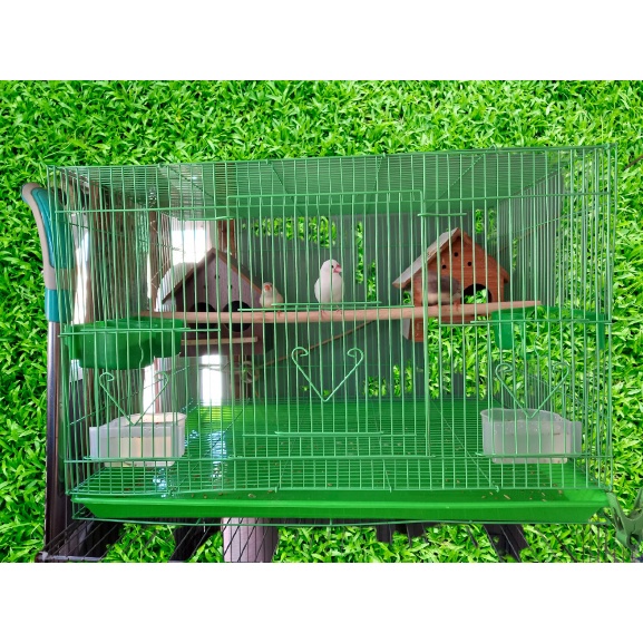 Lồng chứa chim nuôi chim nhỏ 60x42 x40 cm