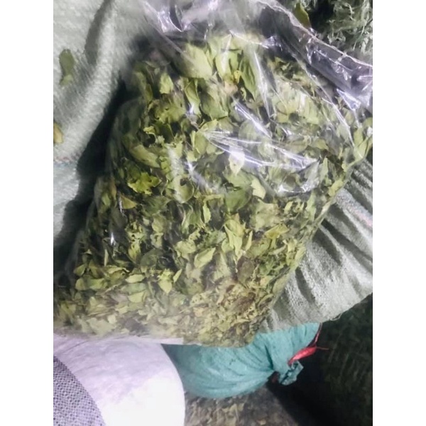 Lá thạch găng xanh khô tặng theo 01 ống vani, 01 túi vôi bột