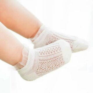 Combo 10 sét tất ong mật