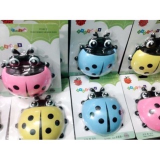 Bọ rùa dính tường