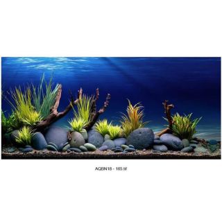 Tranh 3D bể cá kt 60x40; 100x50; 120x60;130x56;150x60cm