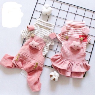 Sét đồ áo và yếm cho cho mèo, hàng order vui lòng chat trước khi đặt hàng