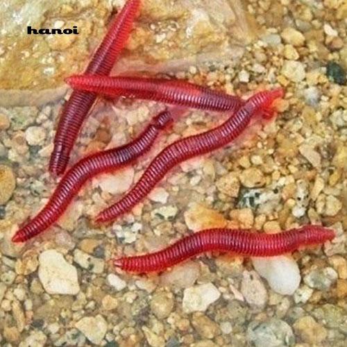 Set 50 mồi câu hình giun đất màu đỏ nhân tạo tiện dụng khi câu cá
