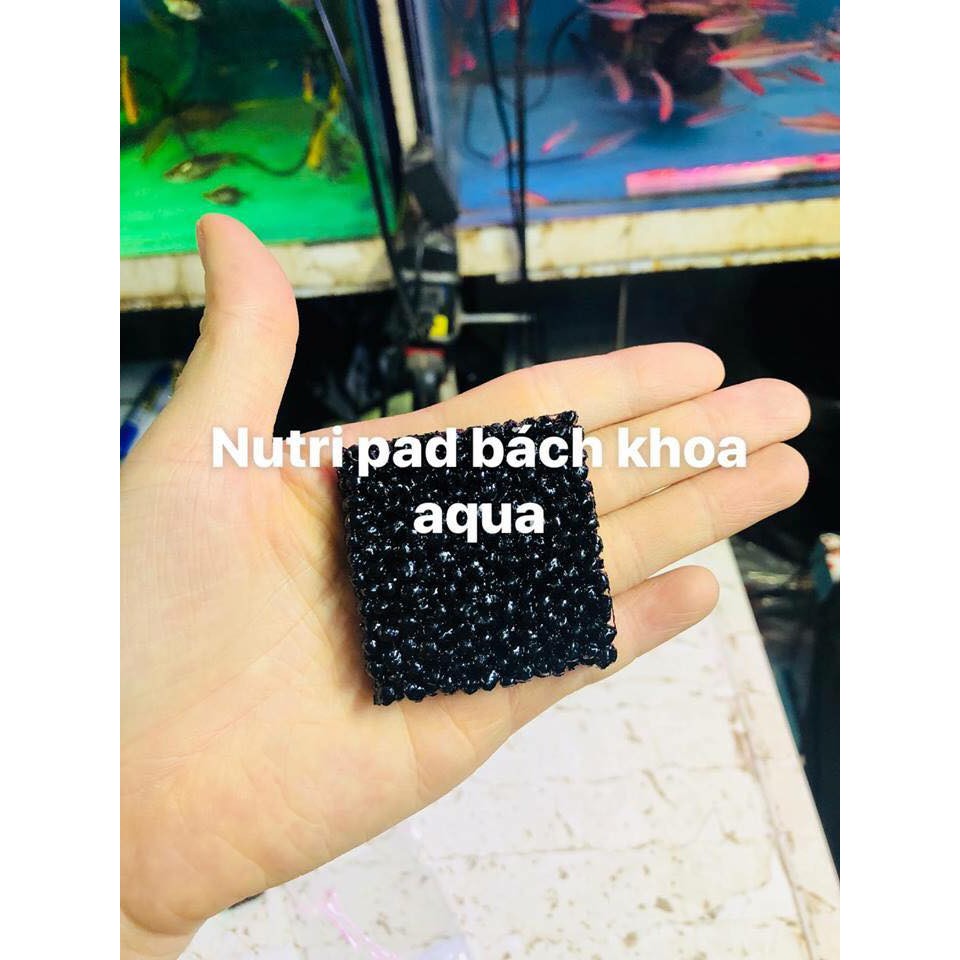 Nutri Pad thủy mộc