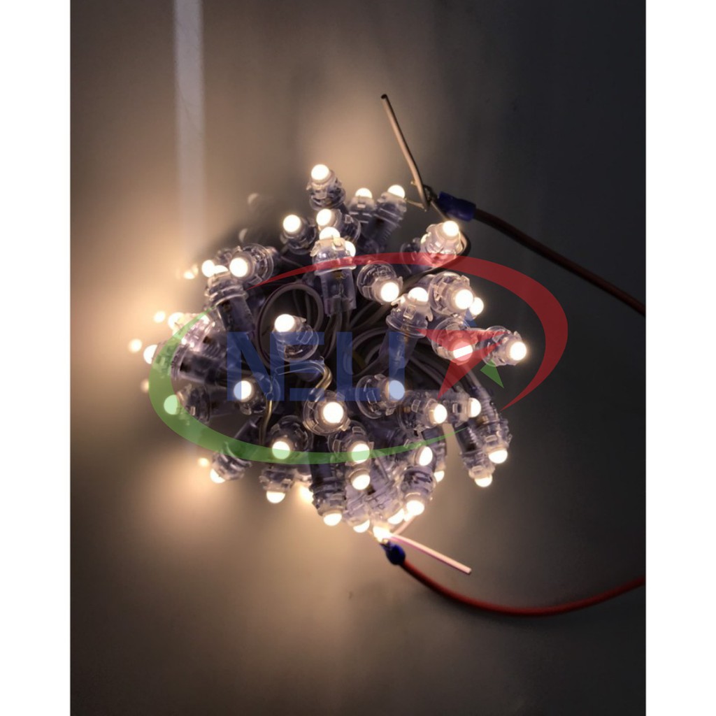 LED đúc F5 đế 9mm,chống nước điện áp 12V,trang trí nhà,cuốn cây. | BigBuy360 - bigbuy360.vn