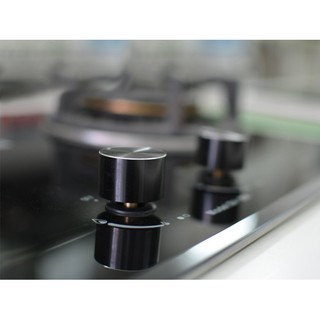 Bếp gas FASTER FS-204S