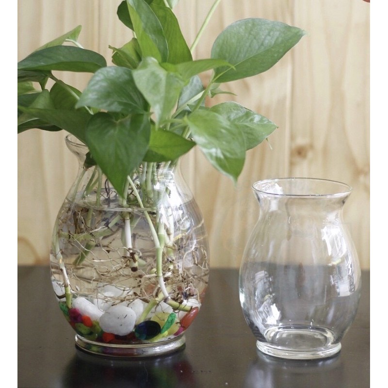 Lọ thủy tinh bầu dục trồng cây thủy sinh, ly thuỷ tinh nước trái cây 2 size