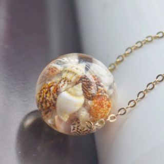 Vỏ ốc mini dùng trong trang trí, thủ công, decor..v...v..