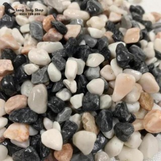 Sỏi ba màu tự nhiên ( chọn size )
