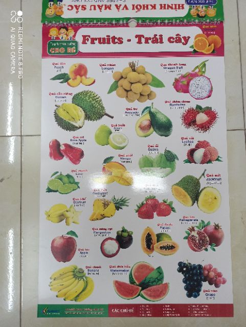 Bộ Tranh Treo Tường Học Tập 12 Chủ Đề Song Ngữ Cho Bé