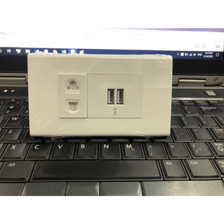 Bộ ổ cắm + cổng sạc 2 cổng USB lắp âm tường lắp mặt Panasonic