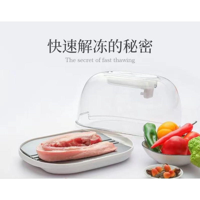 Máy Rã Đông Thức Ăn Kayuso JY210801 Công Nghệ ion An Toàn Cho Thực Phẩm - Hàng Nhập Khẩu Chính Hãng.