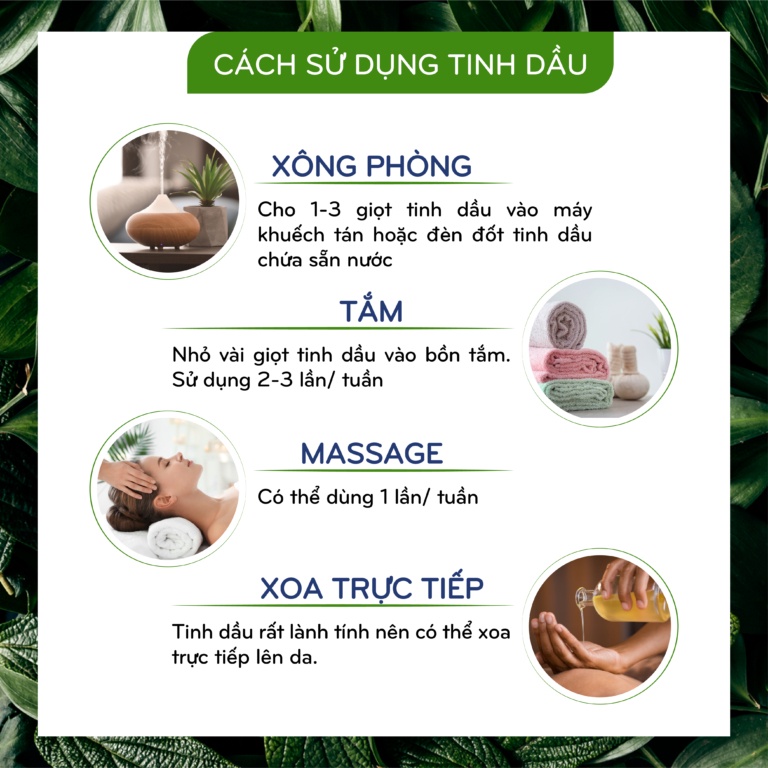 Tinh Dầu Bạc Hà 10ml ECOCARE, Tinh dầu thiên nhiên 100%, giúp xông phòng, massage,... kiểm định INPC, mã TDE987_BACHA