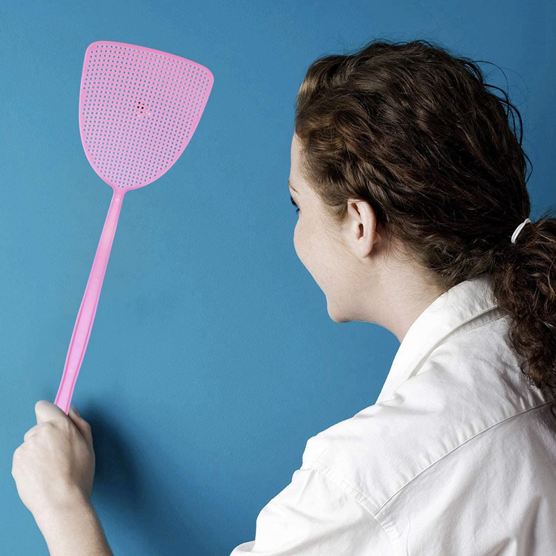 Fly Swatter 10 gói Tay cầm dài bằng nhựa Fly Swat Hướng dẫn sử dụng Swat Kiểm soát dịch hại cho ruồi và muỗi Nhiều màu ngẫu nhiên